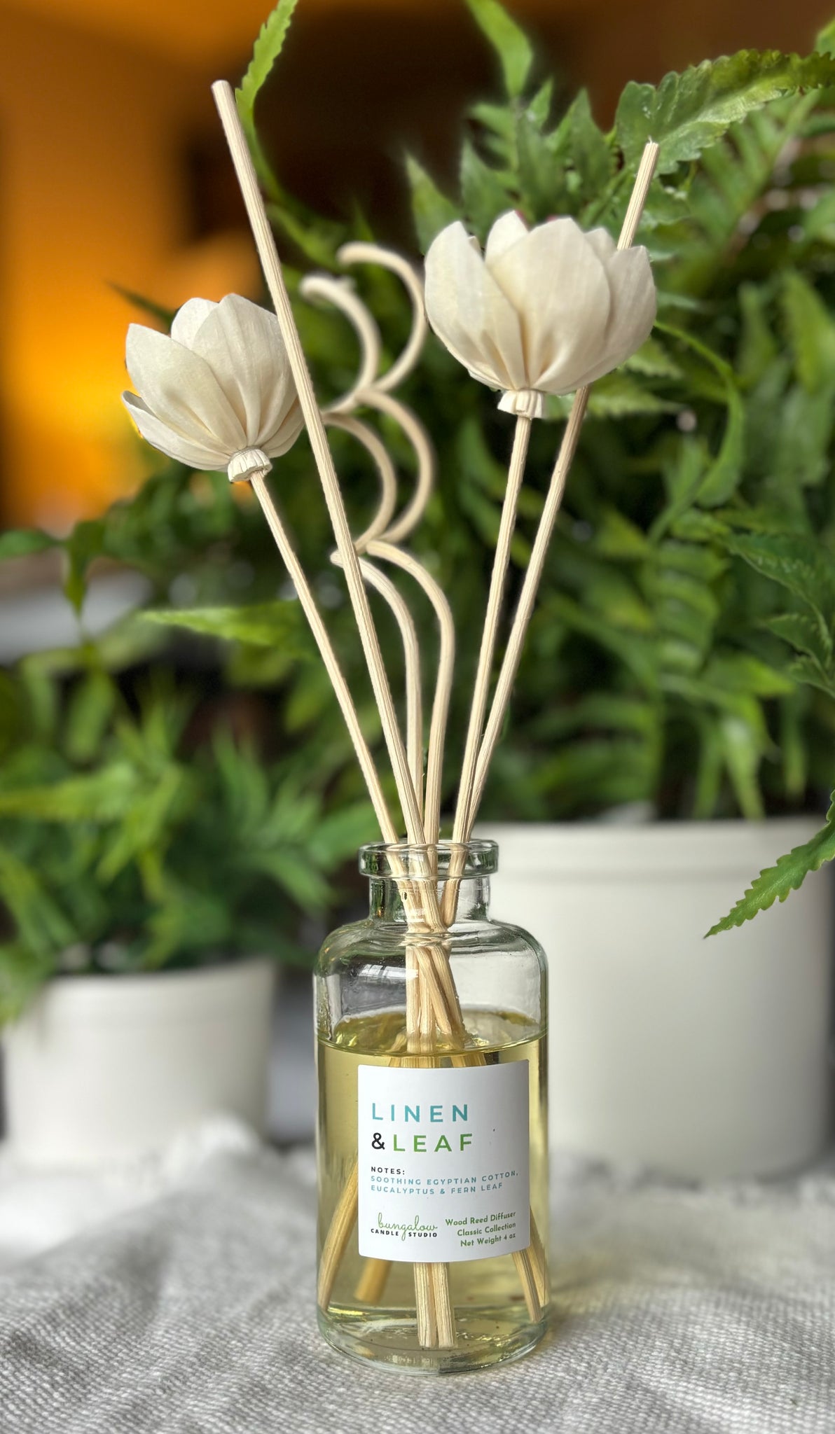Reed Diffusers | Classic Collection – Bungalow Candle Studio
