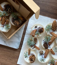 Load image into Gallery viewer, A box opened with 4 organic fire starters and another group of fire starters sitting on a paper towel. Each has a pinecone, cloves, and cinnamon sticks visible.
